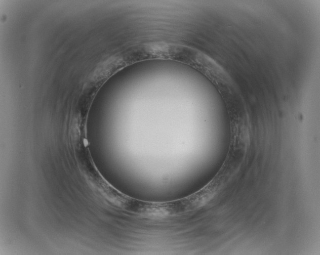 X0000081630702200701151425