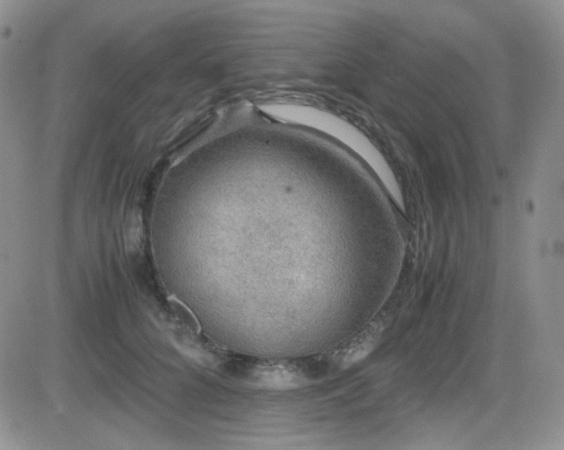 X0000081630704200701151425