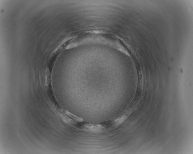 X0000081630712200701151425