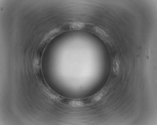 X0000081630714200701151425