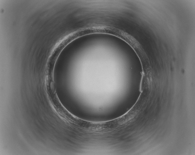 X0000081630728200701151424