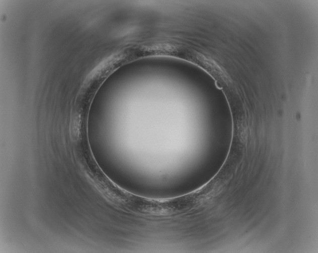 X0000081630735200701151424