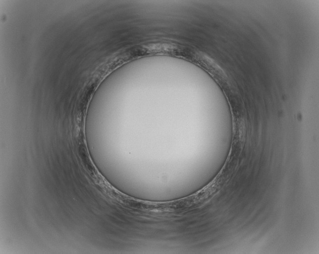 X0000081630737200701151424