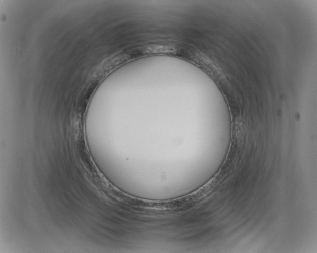 X0000081630741200701151424