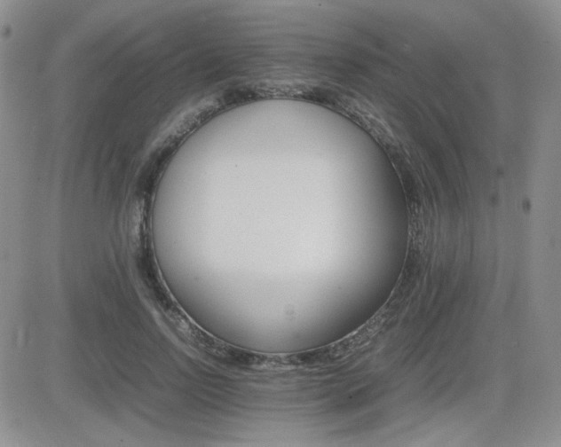 X0000081630742200701151424