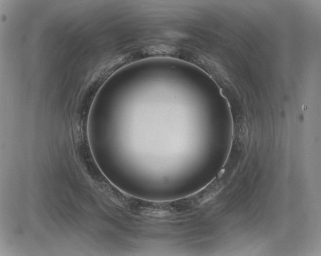 X0000081630743200701151424