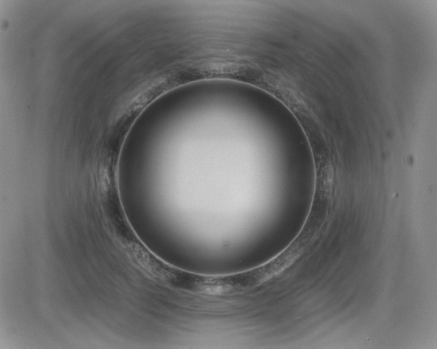 X0000081630746200701151424