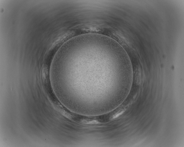 X0000081630747200701151424