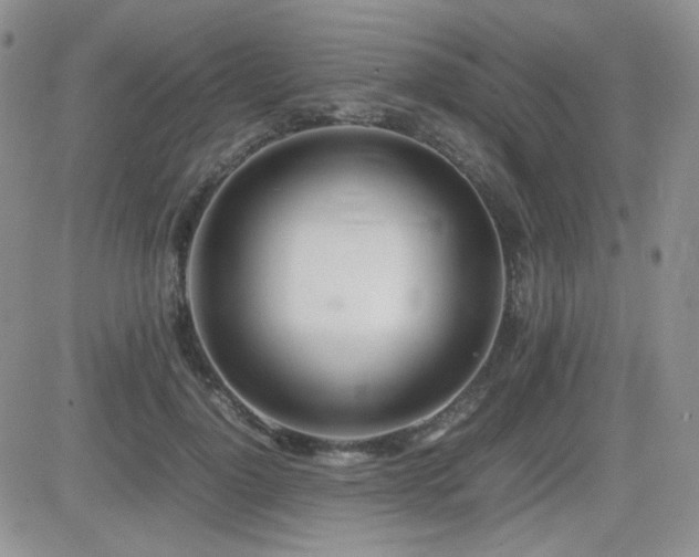 X0000081630748200701151424