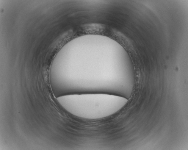X0000081630753200701151425