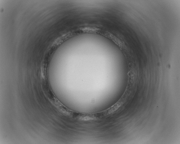 X0000081630755200701151425