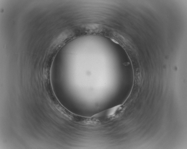 X0000081630756200701151425