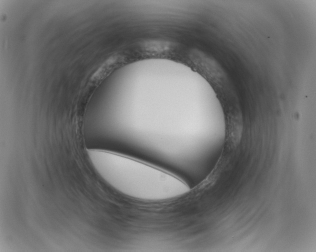 X0000081630758200701151425