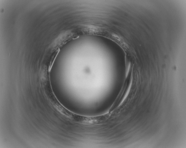 X0000081630760200701151425