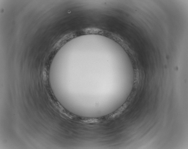 X0000081630761200701151425