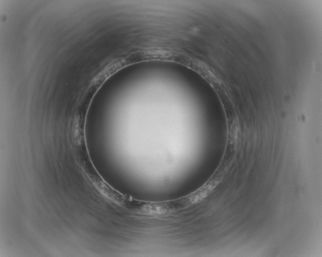 X0000081630764200701151425