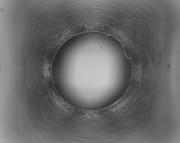 X0000081630770200701151424