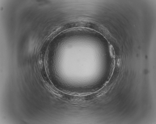 X0000081630771200701151424