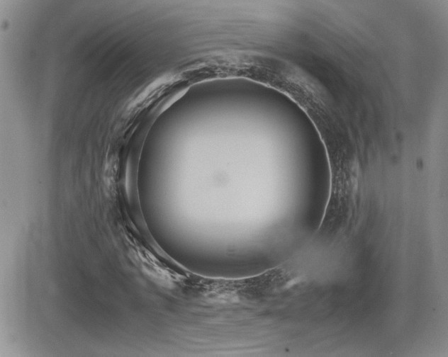 X0000081630773200701151424