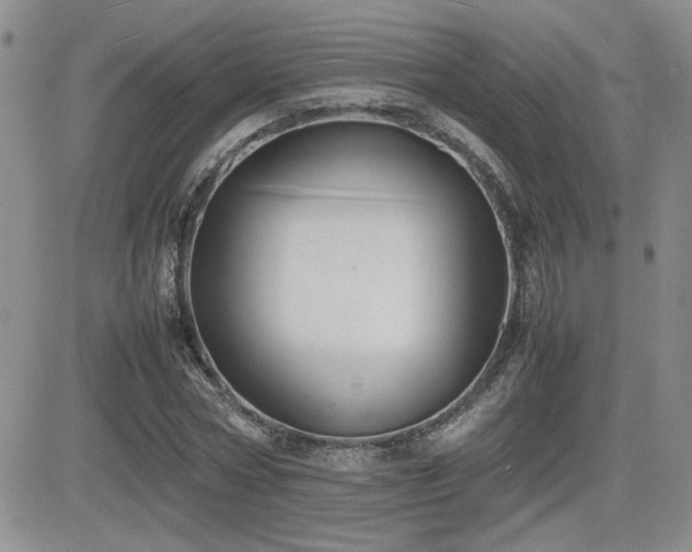 X0000081630778200701151424