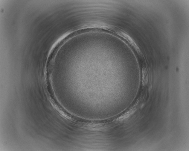 X0000081630780200701151424
