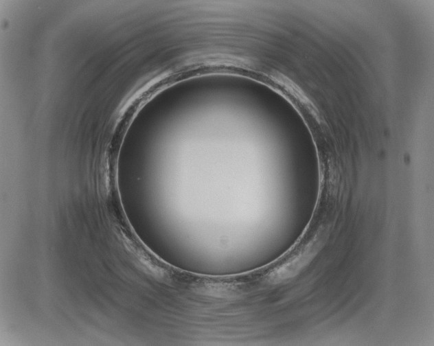 X0000081630782200701151424