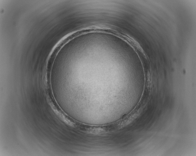 X0000081630784200701151424