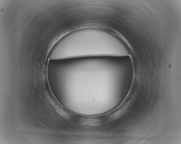 X0000081630786200701151424