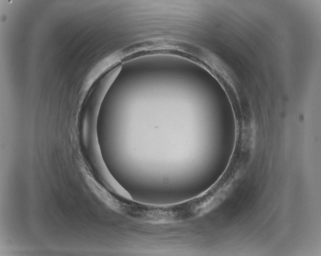 X0000081630789200701151424