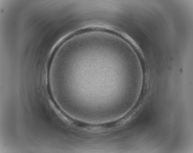 X0000081630791200701151424