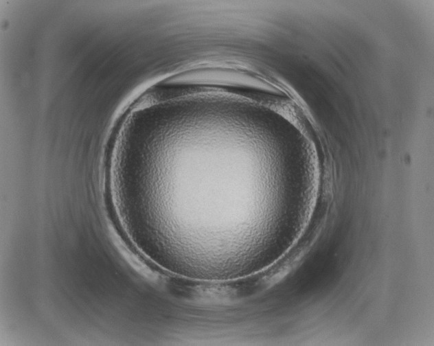 X0000081630795200701151424