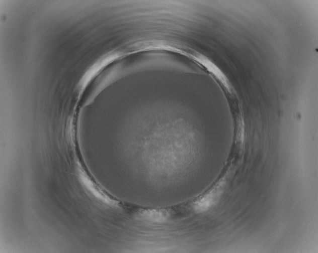 X0000081630806200701151423