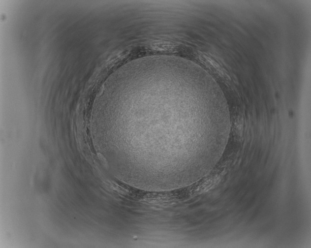 X0000081630817200701151422