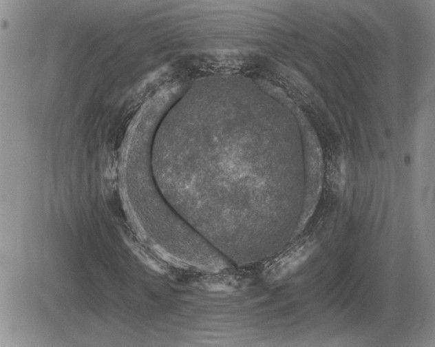 X0000081630818200701151422