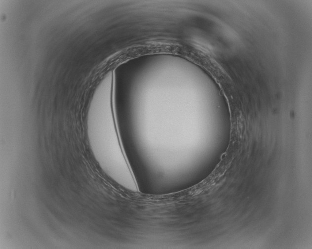 X0000081630821200701151423