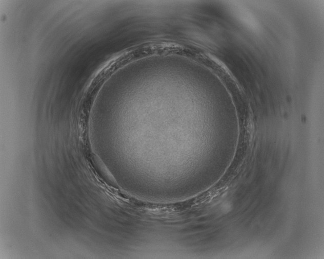 X0000081630823200701151423