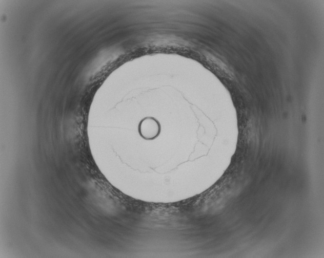 X0000081630824200701151423