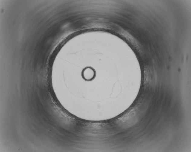 X0000081630828200701151423