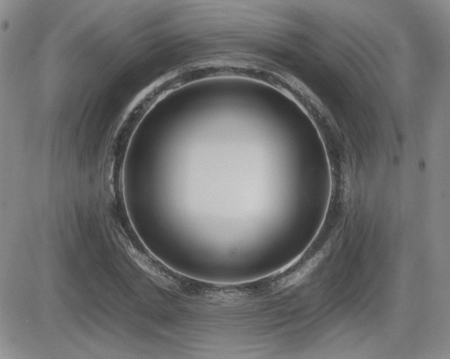 X0000081630830200701151423
