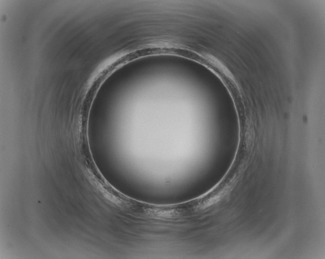 X0000081630831200701151423