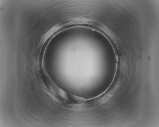 X0000081630834200701151423
