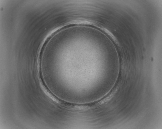 X0000081630840200701151423