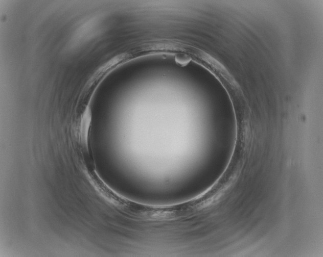 X0000081630841200701151423