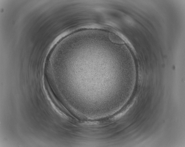 X0000081630845200701151423
