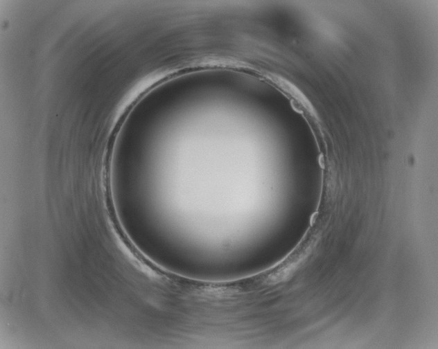 X0000081630847200701151423