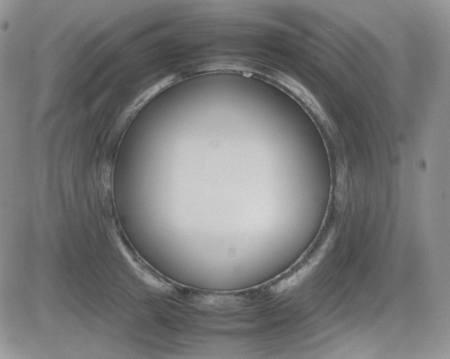 X0000081630849200701151423