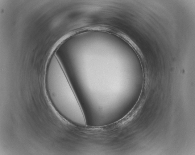 X0000081630853200701151423