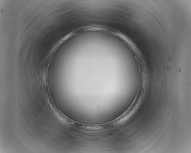 X0000081630857200701151423