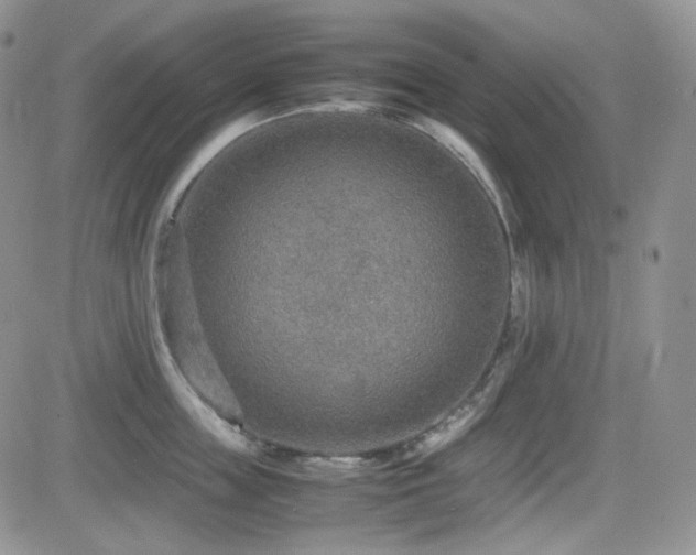 X0000081630859200701151423