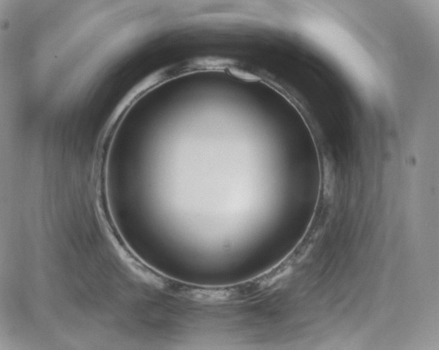 X0000081630861200701151423